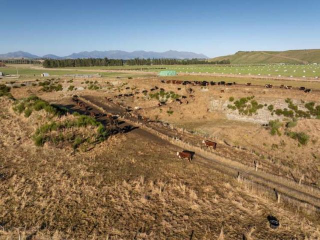 Property for sale in Te Anau, Southland