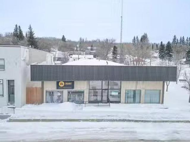 House for sale in Birtle, Prairie View Municipality
