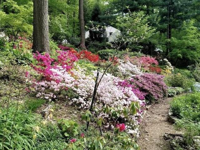 House for sale in Chester, Pennsylvania