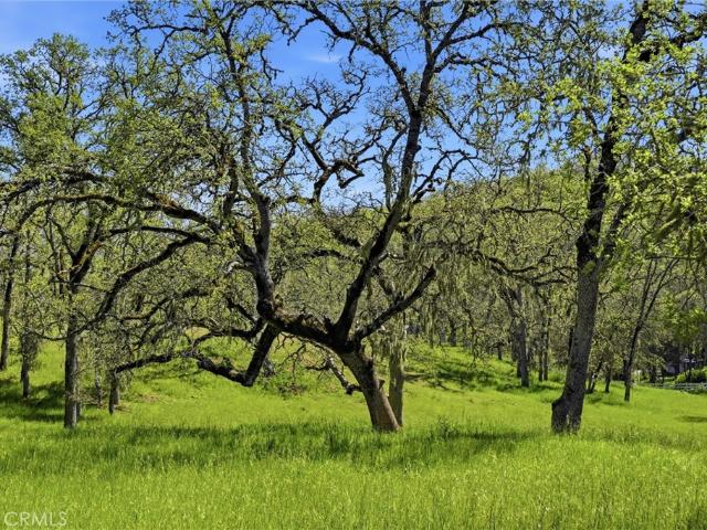 Land for sale in Lake, California