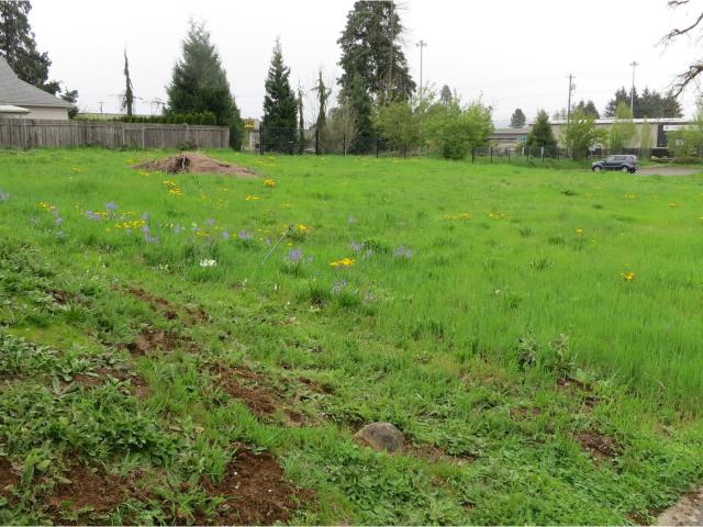 Land for sale in Camas