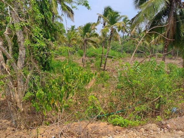 Land for sale in Karwar, Karnataka