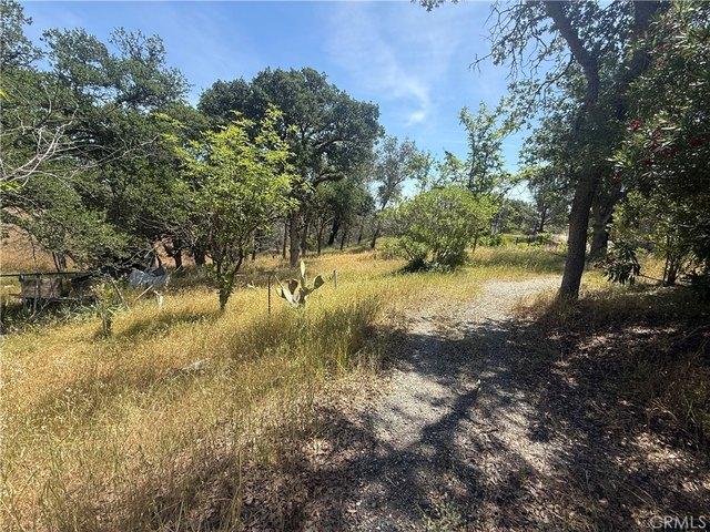 Land for sale in Corning, California