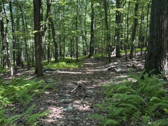 Land for sale in Rocky Ridge, Maryland