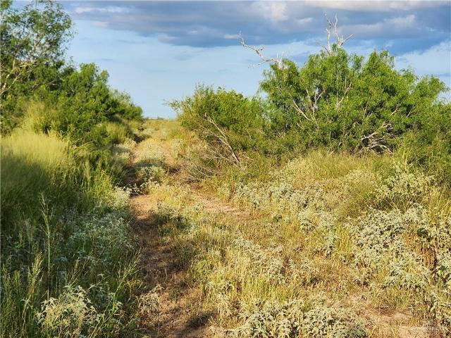 Land for sale in Brooks, Texas