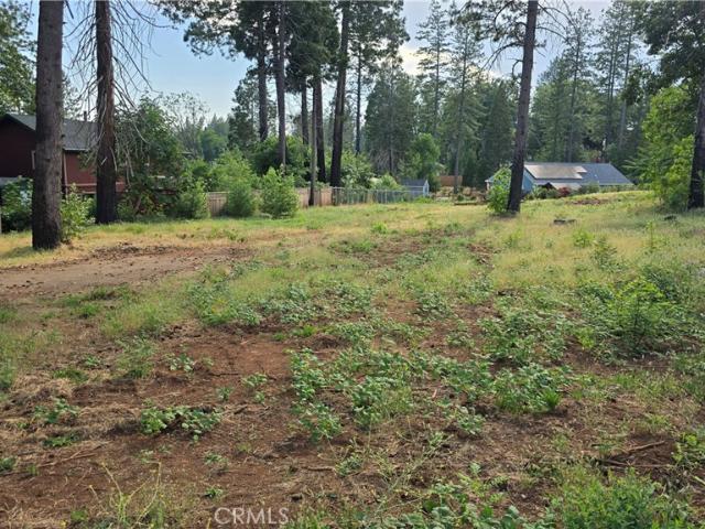 Land for sale in Butte, California