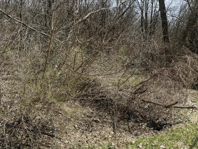 Land for sale in Bald Mountain, Town of Greenwich