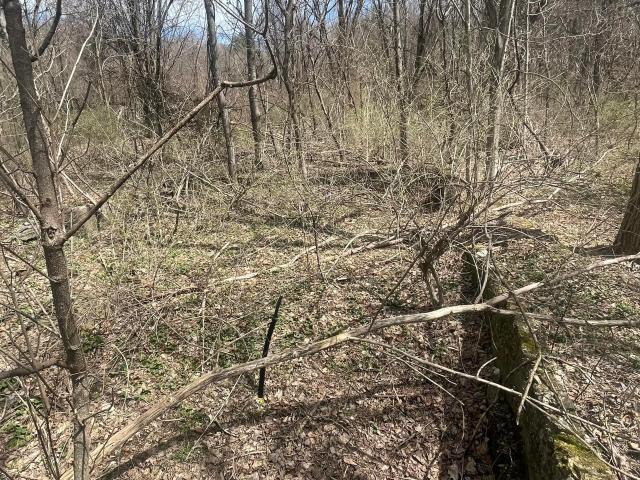 Land for sale in Cossayuna, New York