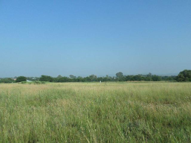 Land for sale in Koppies, Free State
