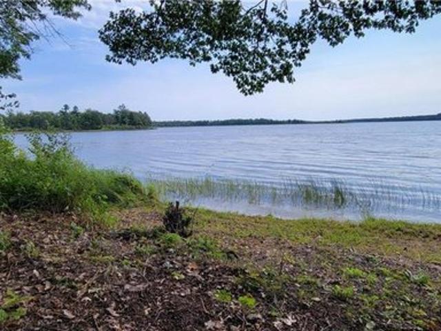 Land for sale in Longville, Minnesota