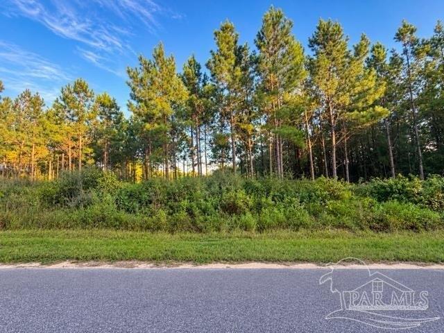Land for sale in Pace, Florida