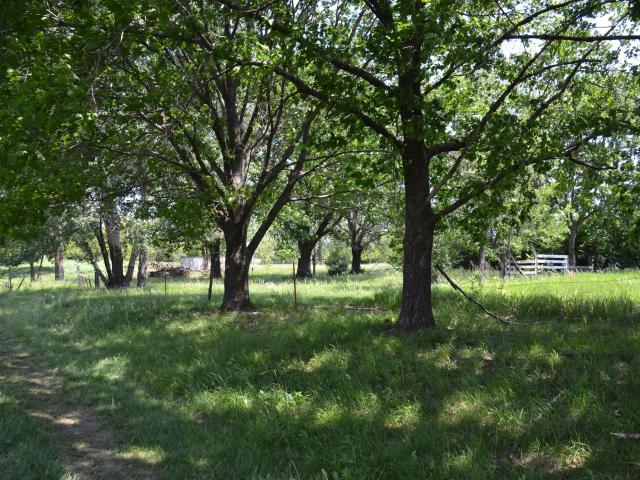 Land for sale in Kansas