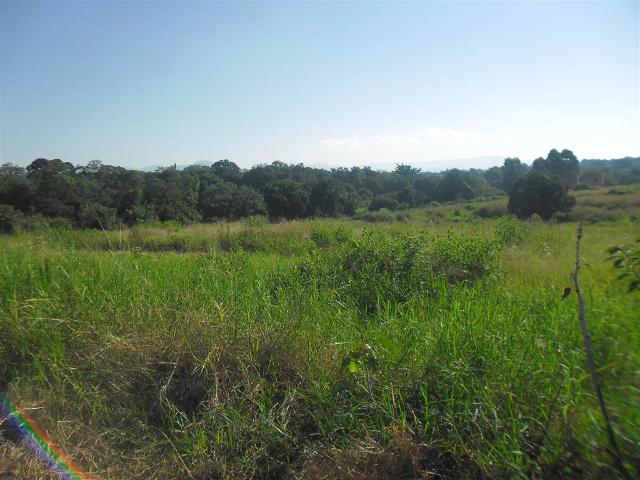Land for sale in Mopani, Limpopo