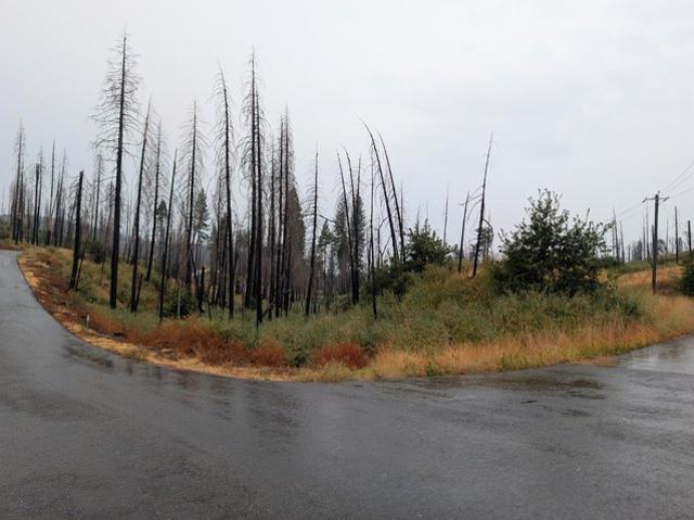 Land for sale in Grizzly Flats, El Dorado County