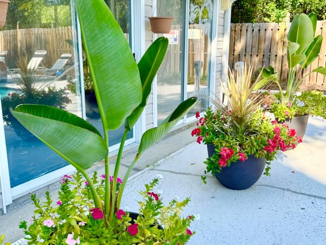 Condo for sale in Wilmington, New Hanover County