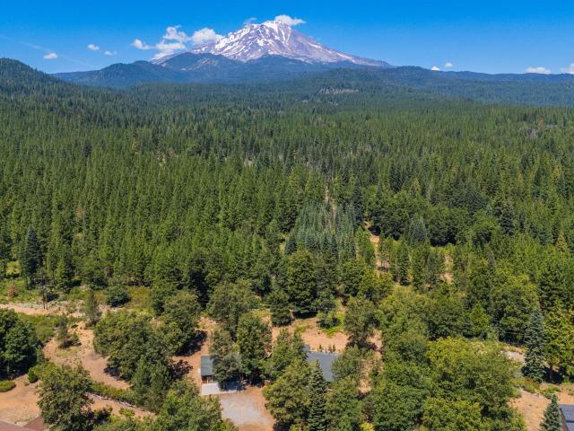 House for sale in Mccloud, California