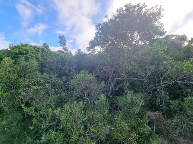 Land for sale in Eastern Cape