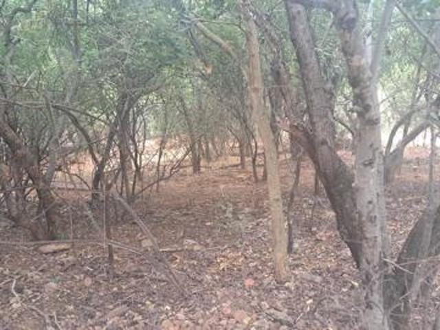 Land for sale in Limpopo