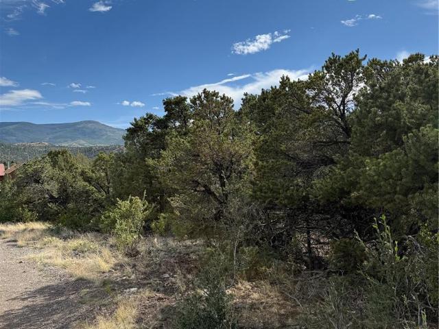 Land for sale in South Fork