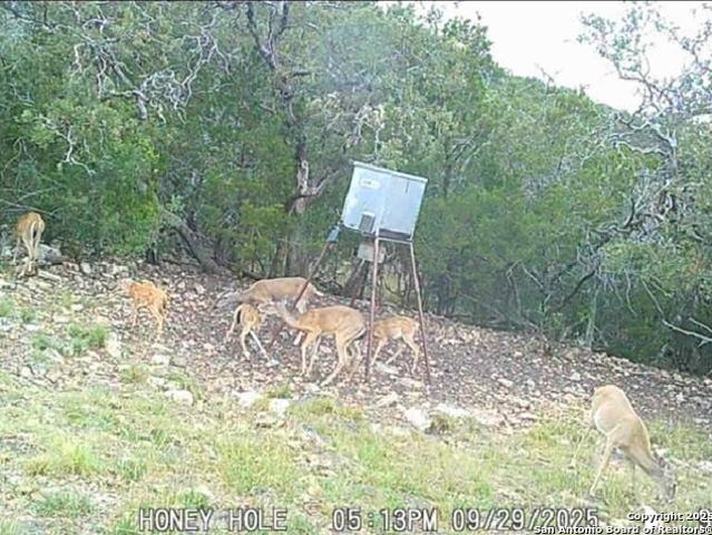 Land for sale in Edwards, Texas