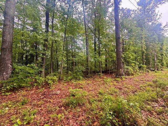 Land for sale in Virginia