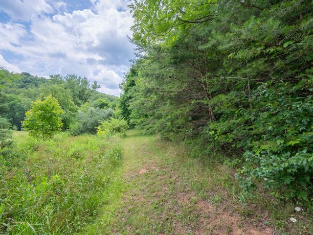 Land for sale in Virginia