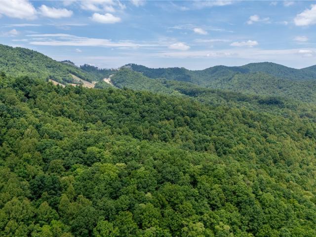 Land for sale in Virginia