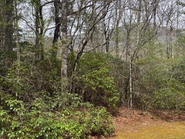 Land for sale in Transylvania, North Carolina