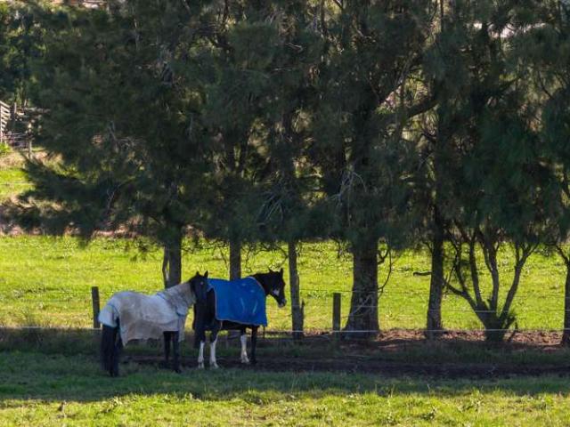 Property for sale in Katikati, Bay Of Plenty