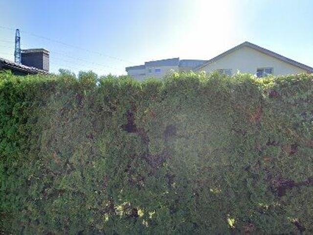 Apartment mieten in Lauterach, Vorarlberg