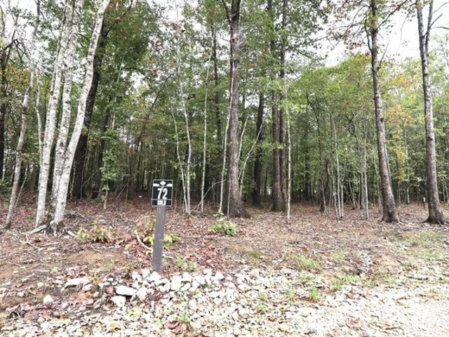 Land for sale in Tennessee