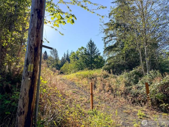 Land for sale in Leland, Quilcene