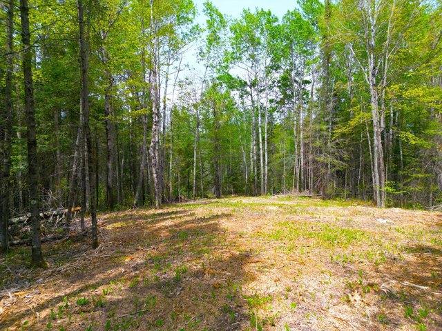 Land for sale in Eveleth, Saint Louis County