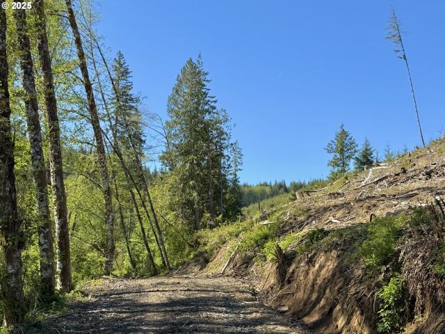 Land for sale in Oregonia