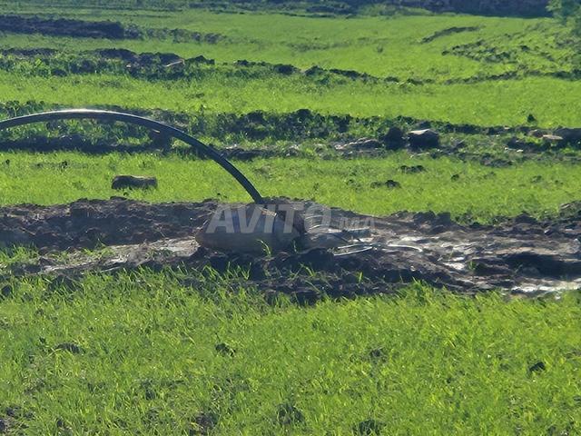 Propriété vente à El Ma, Gharb-Chrarda-Beni Hssen