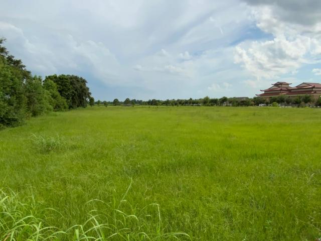 Land for sale in Duson, Louisiana