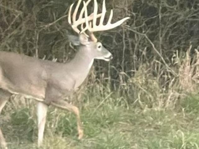 Land for sale in Scurry, Texas