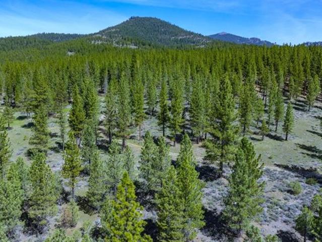 Land for sale in Portola, California