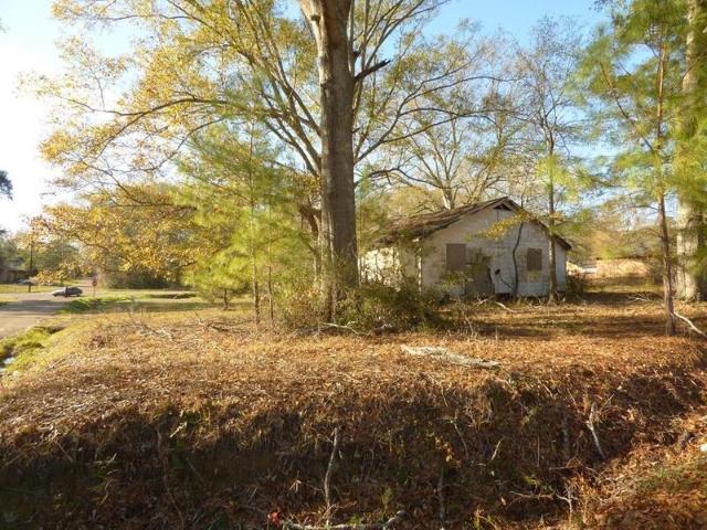 Land for sale in Mccomb