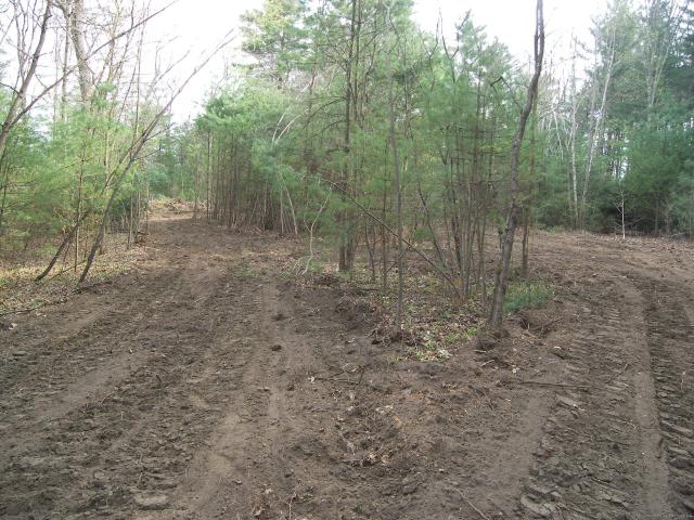 Land for sale in Berkshire, Massachusetts