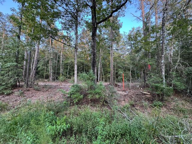 Land for sale in Jasper, Texas