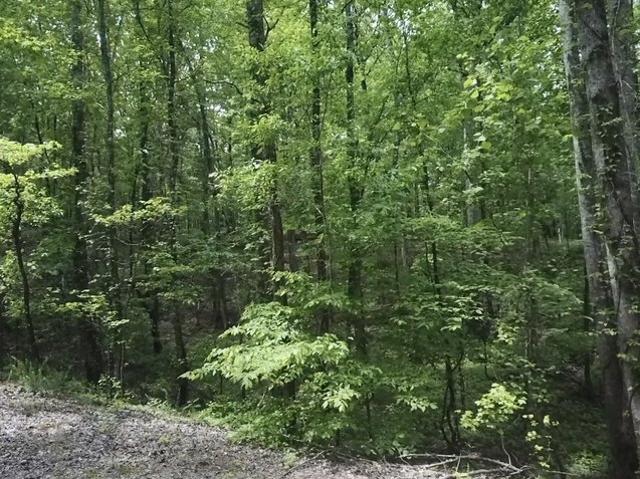 Land for sale in Tennessee