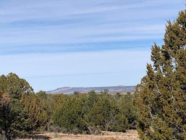 Land for sale in Happy Jack, Arizona