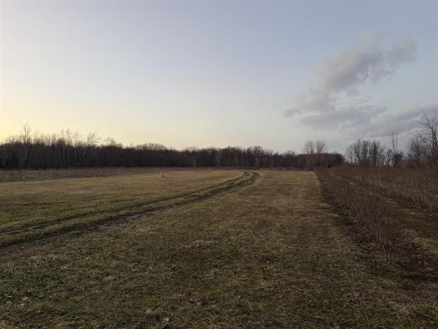 Land for sale in Covert, Michigan