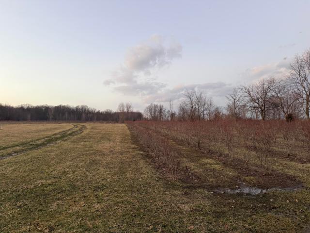 Land for sale in Covert, Michigan