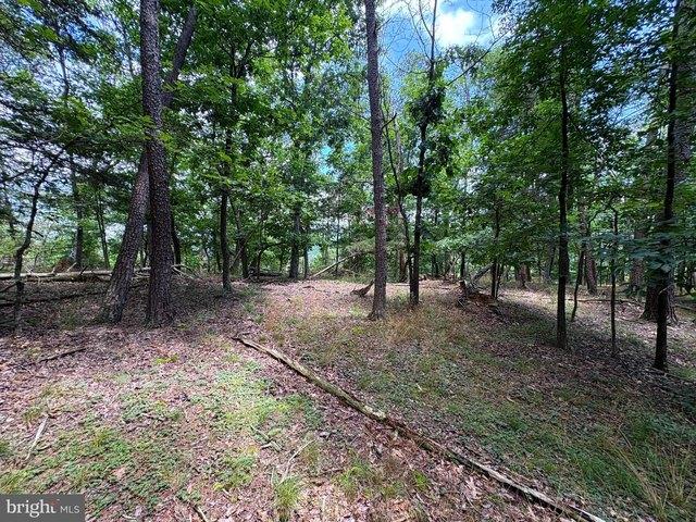 Land for sale in Romney, West Virginia