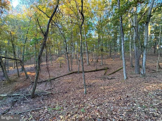 Land for sale in Romney, West Virginia