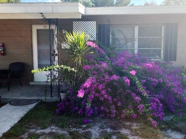 Apartment for rent in Saint Petersburg, Florida