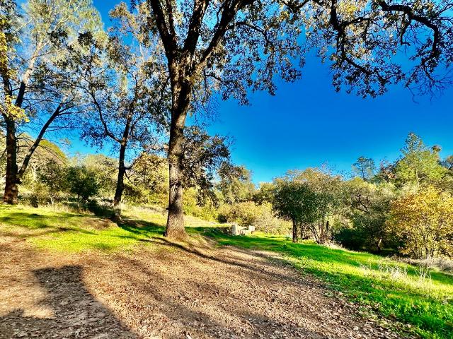 Land for sale in Rackerby, California