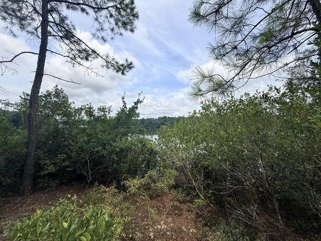 Land for sale in Aiken, South Carolina